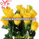 Beautiful gift Fresh flower rose flower yellow rose for wedding