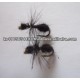 Black Ant (Dry trout Fly)