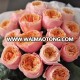 Hot selling fresh cut rose flower from rose farm