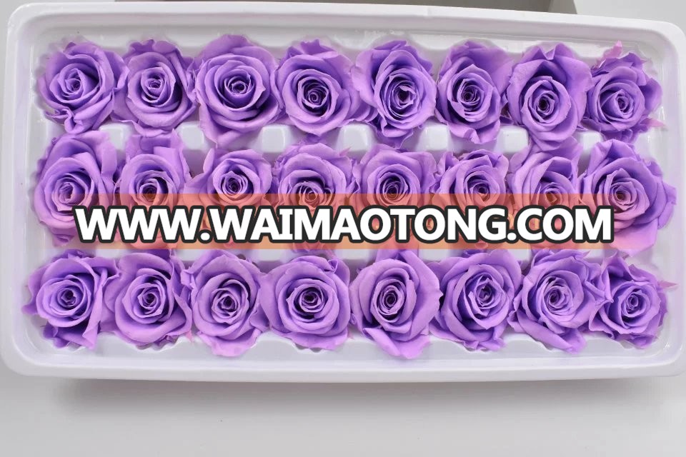 Mother's Day Gift Real Touch Rose Flower Natural Presering Rose With 24Pcs Per Box